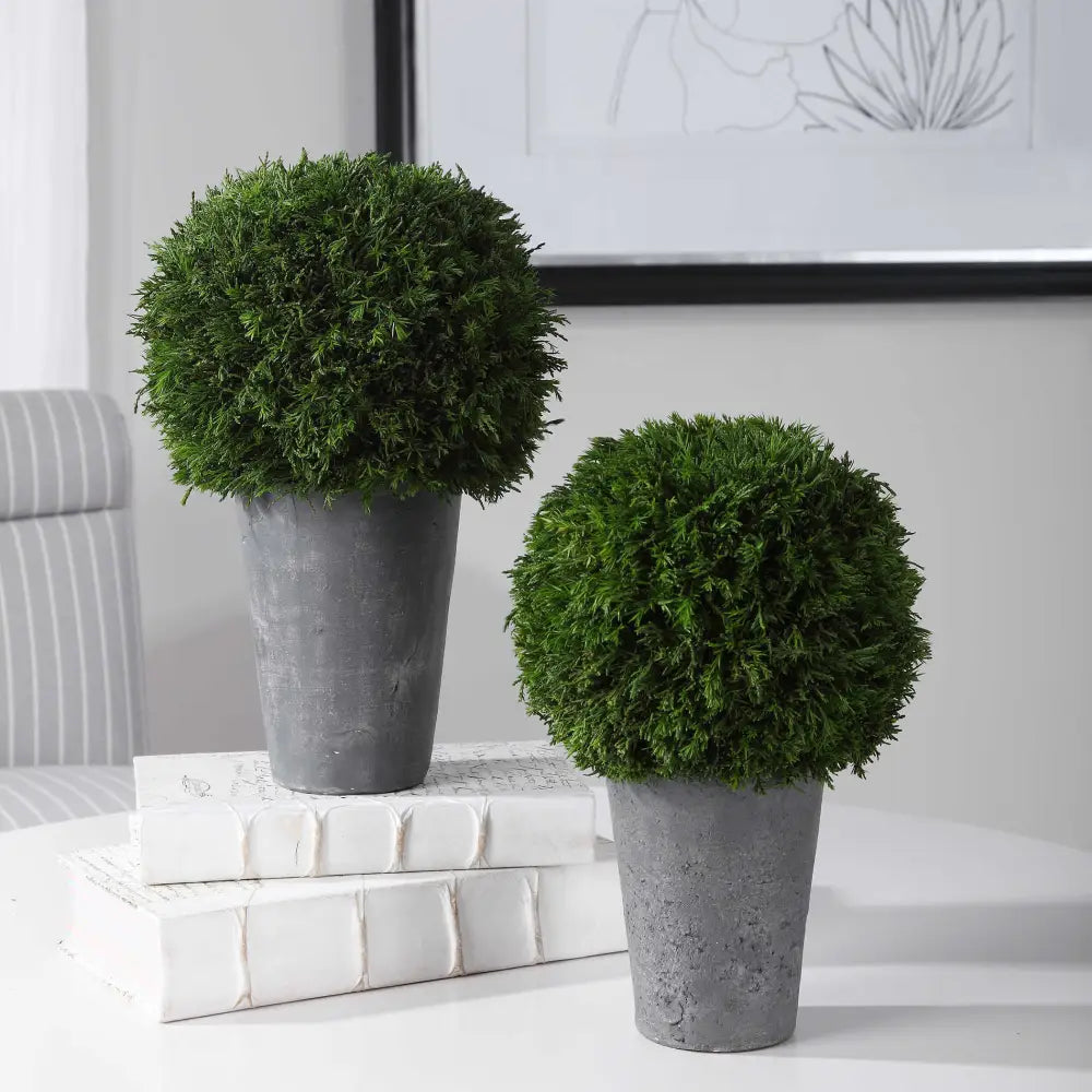 Cypress Globa Greenery Set of 2 - Accessories