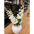 Delphinium Drop-In - Drop-In