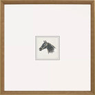 Equestrian Study Set of 2 - Artwork