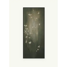 Eternal Blossom II Artwork - Artwork