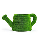 Faux Moss Watering Can - Holidays