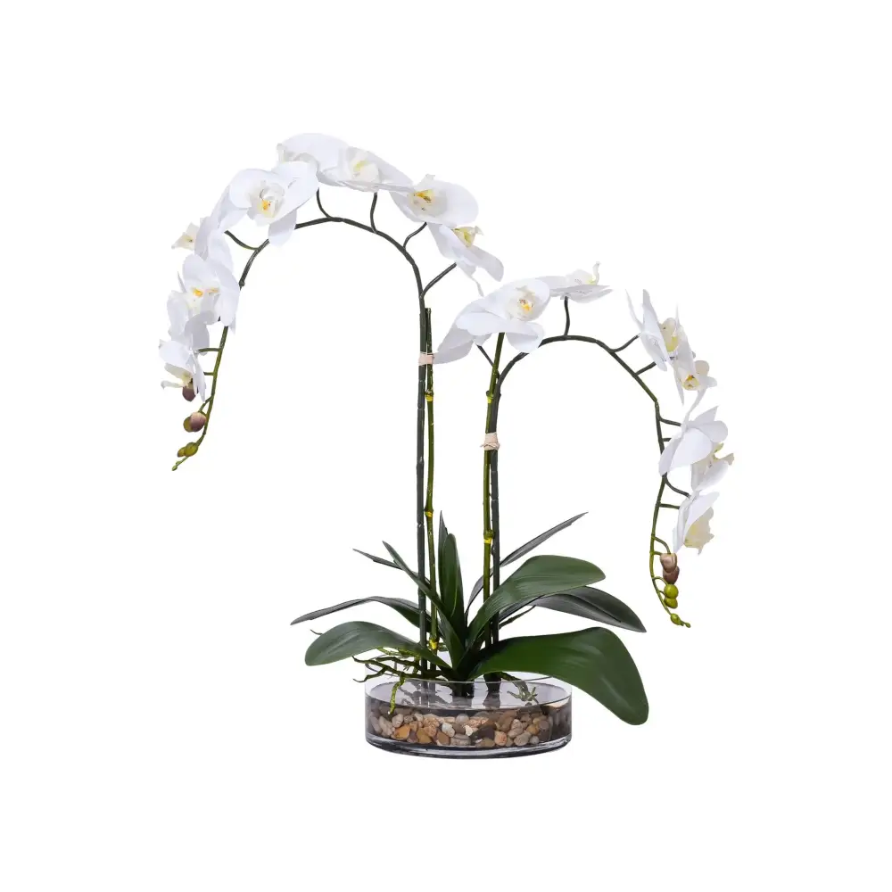 Glas Bowl with Pebbles and Orchid - Orchid