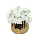 Gold Mini Vase with Ranaunculus - Botanicals