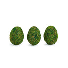 Green Moss Easter Eggs - Holidays