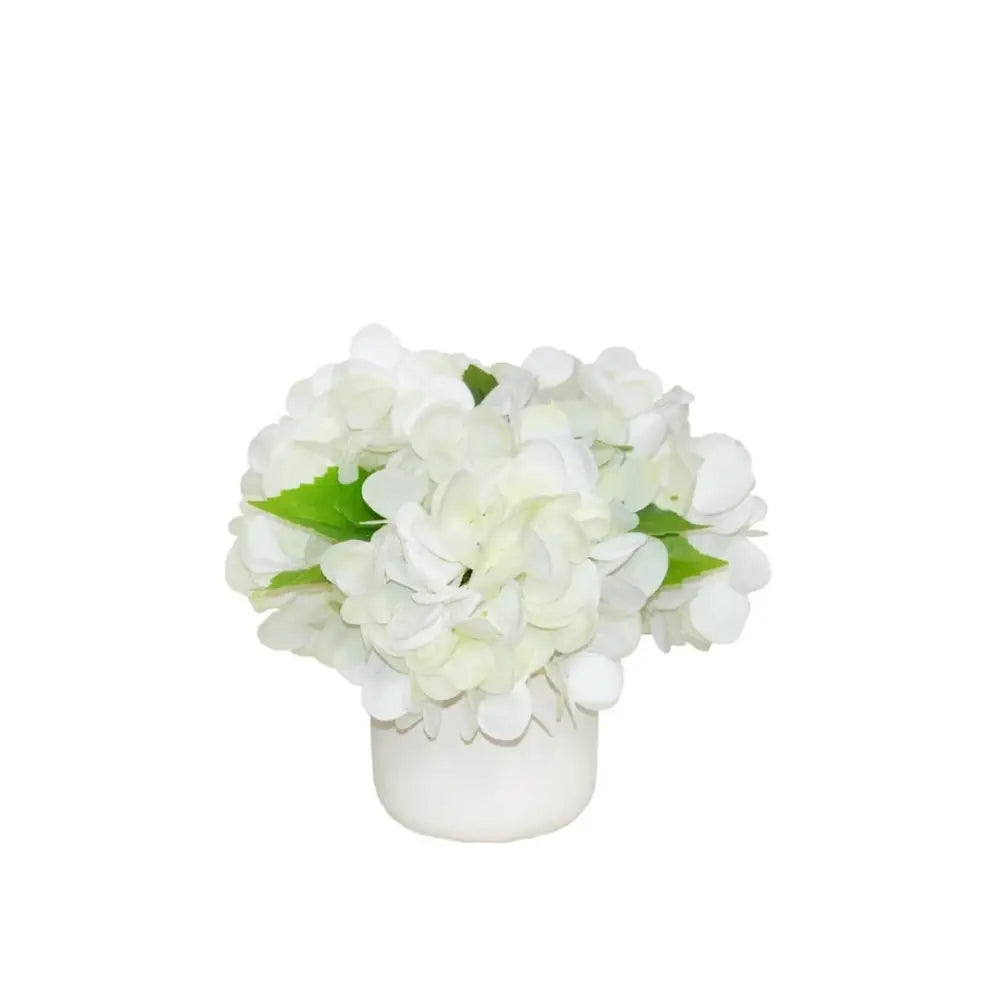 Hydrangea Arrangement - Accessories