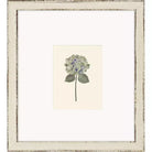 Hydrangea Mini - Wall Decor