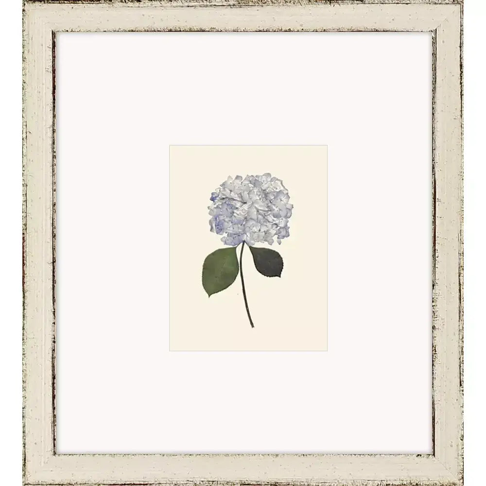 Hydrangea Mini - Wall Decor