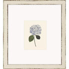 Hydrangea Mini - Wall Decor