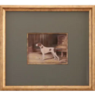 Middleton Artwork - 1 - Artwork