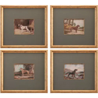 Middleton Artwork - Artwork