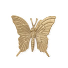 Nature Decor - 2 - DECOR