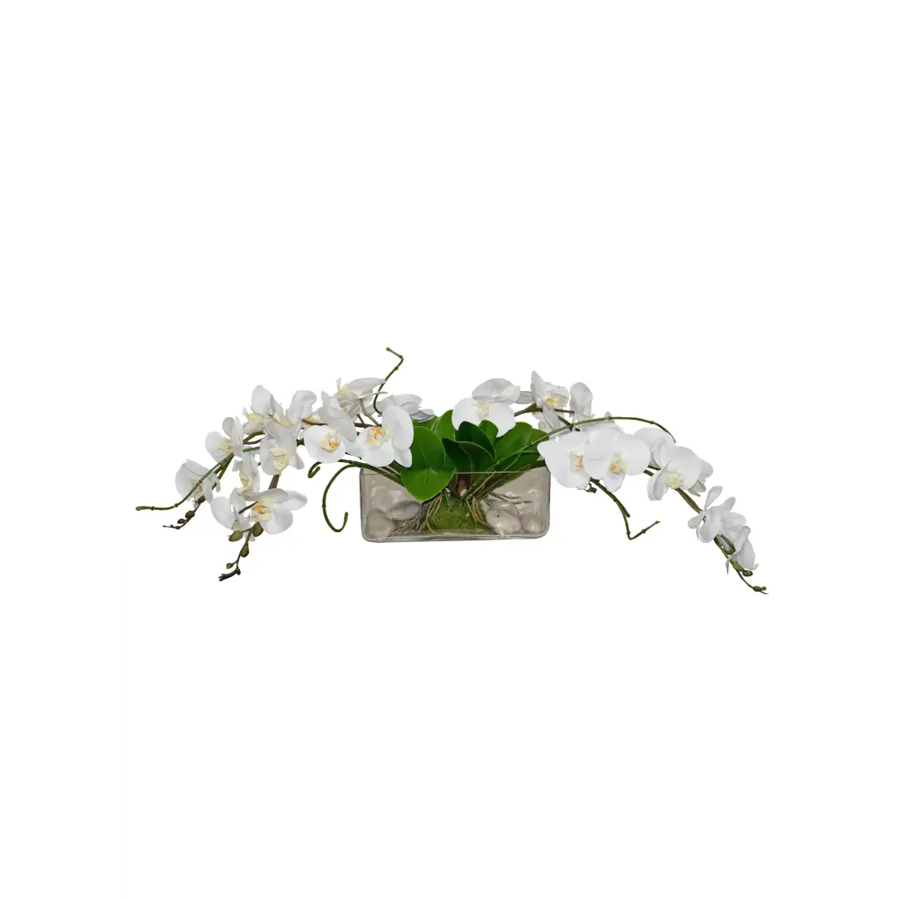 Oblong Glass with White Orchids - Orchid