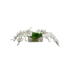 Oblong Glass with White Orchids - Orchid