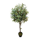 Olive Tree 55’’ - TREE