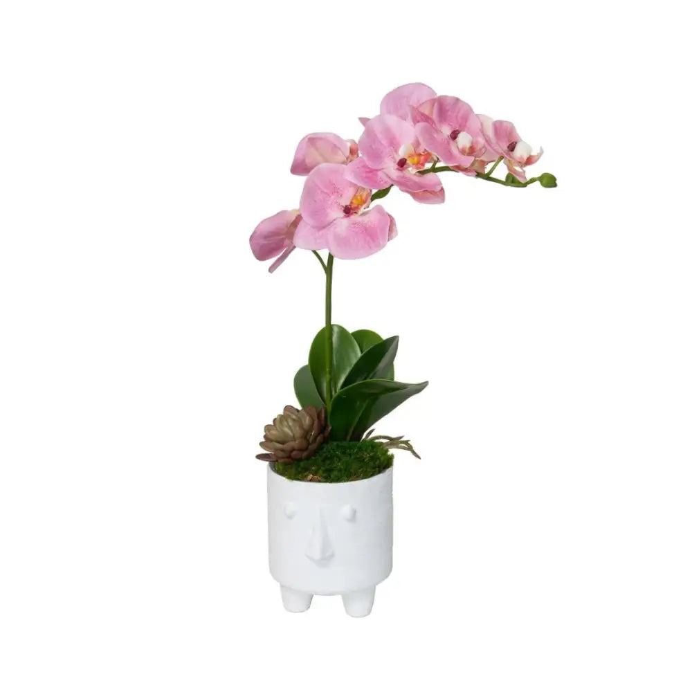 Orchid - Accessories