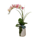 Orchid Arrangement - Accessories