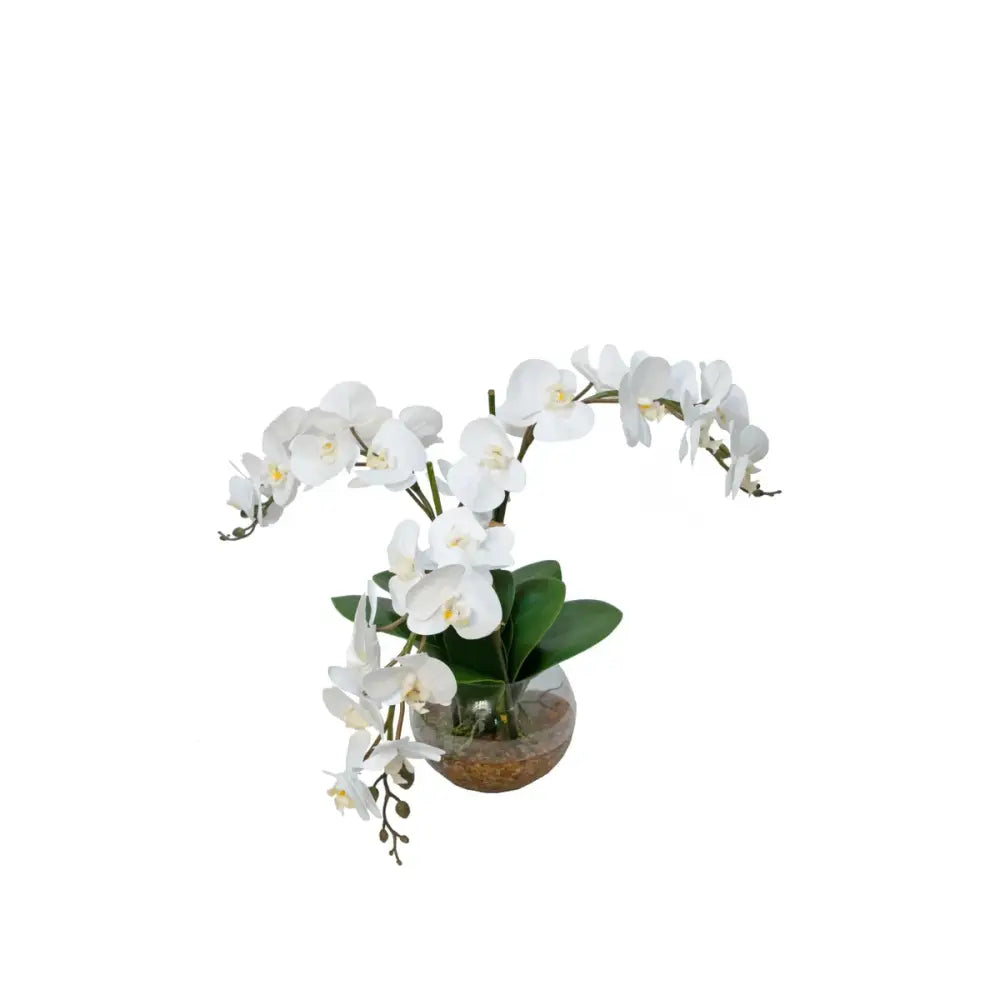 Orchid Arrangement - Accessories