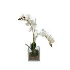 Orchid Arrangement - Accessories