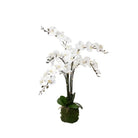 Orchid/Bamboo Arrangement - Accessories