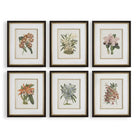 Orchid Botanical Framed Prints - Artwork