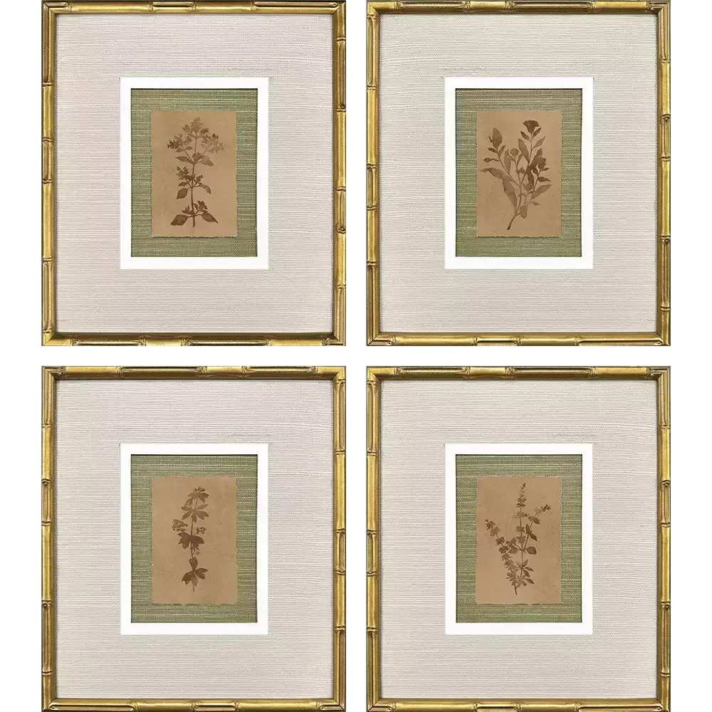Organic Botanical II - Artwork