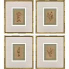 Organic Botanical II - Artwork