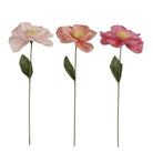 Paper Flower - STEMS