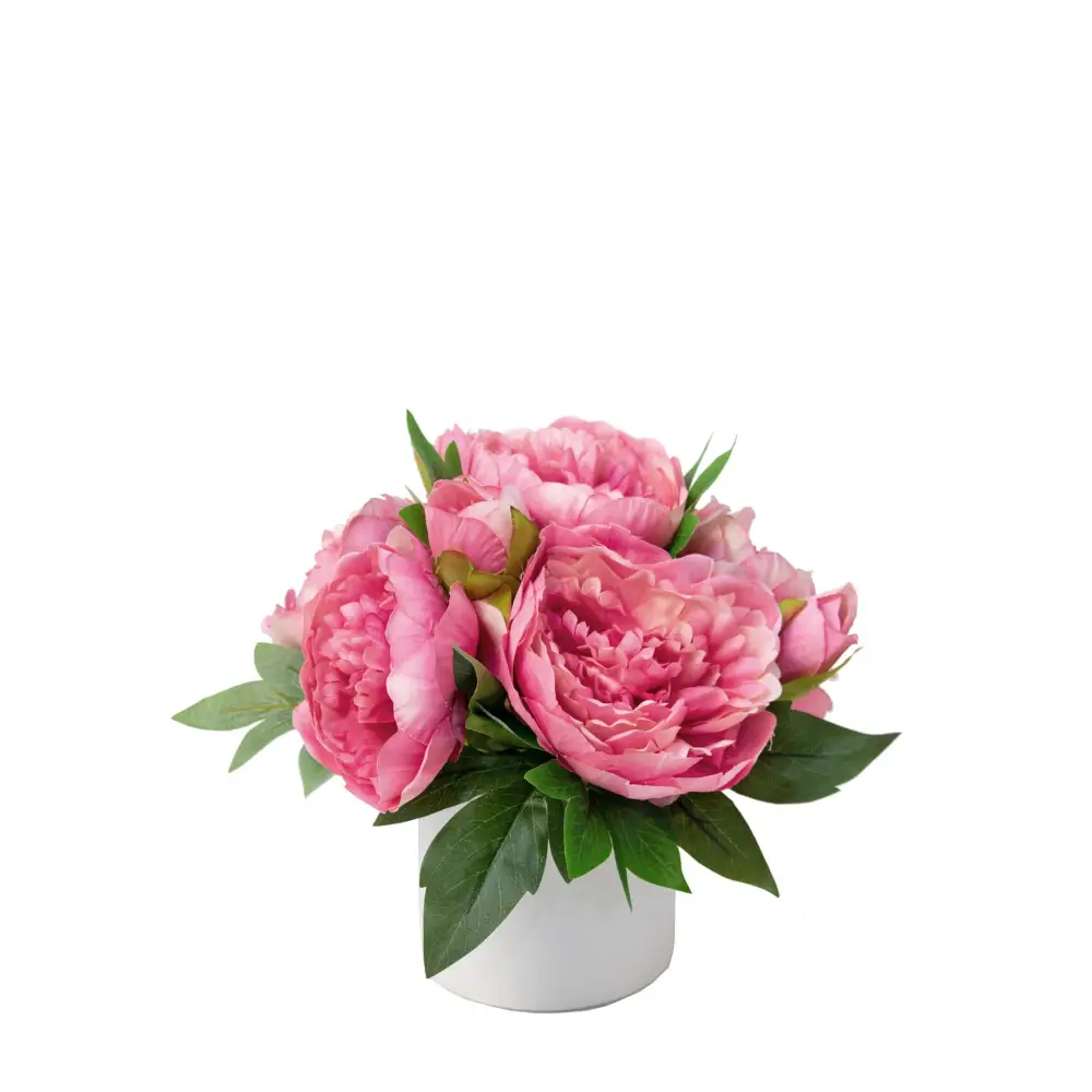 Pink Peonies - Peonies