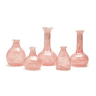 Pink Vases - Accessories