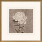 Pretty As A Peony - I - Artwork