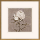 Pretty As A Peony - II - Artwork