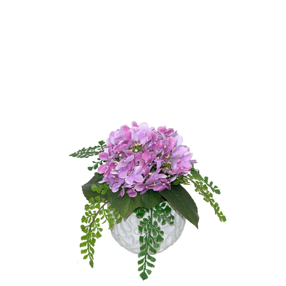 Purple Hydrangea with Fern - Hydrangea