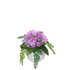 Purple Hydrangea with Fern - Hydrangea
