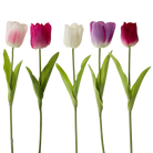 RT106 Real Touch Tulip 36’’ PK 12