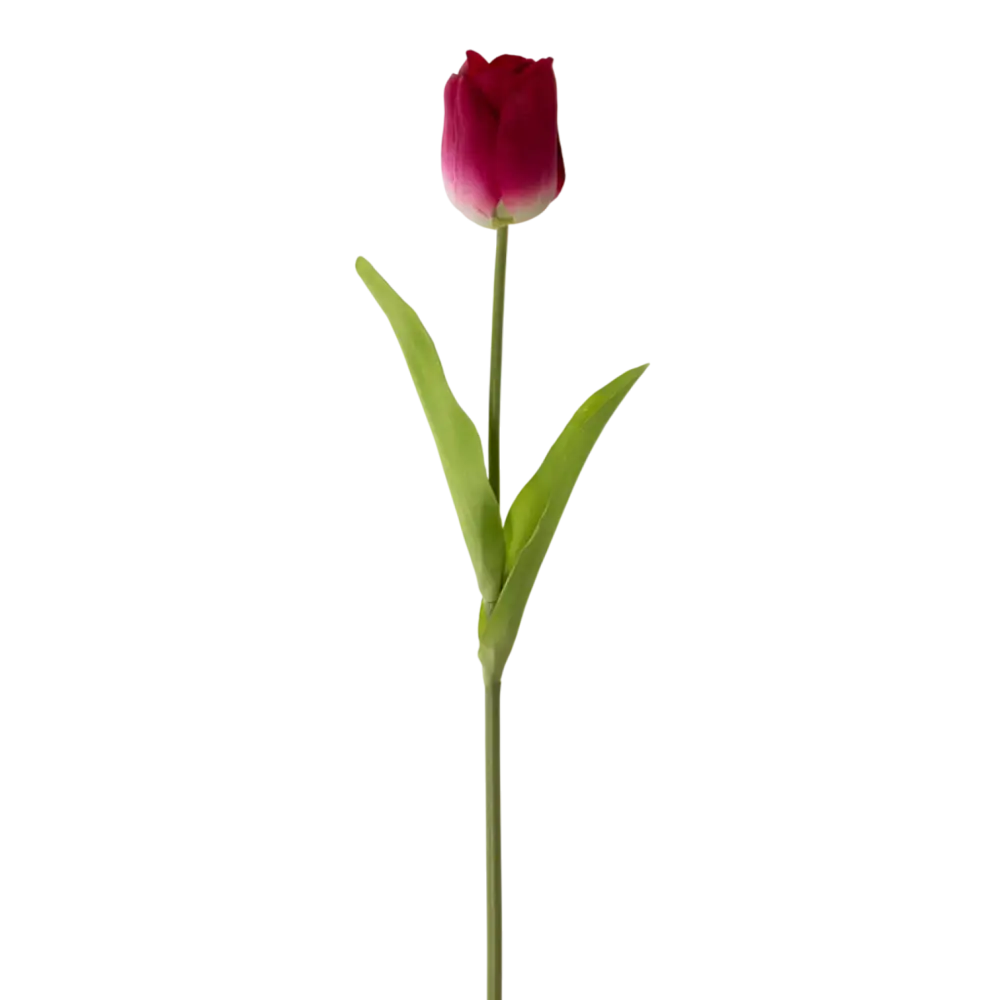 RT106 Real Touch Tulip 36’’ PK 12