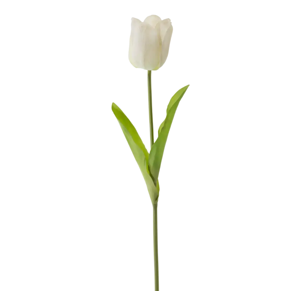 RT106 Real Touch Tulip 36’’ PK 12 - White