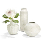 Set of 3 Beige Artisan Vases - Vase