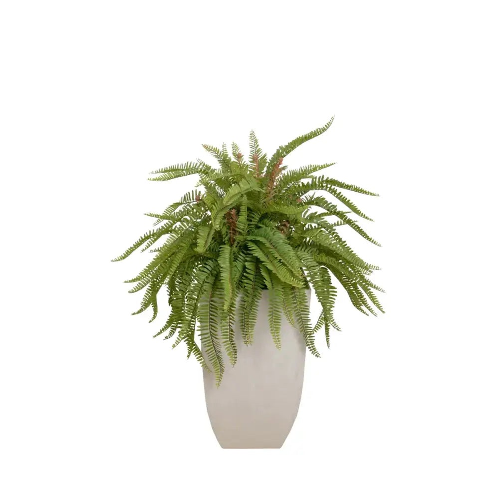 Stone Planter W/ Fern - DECOR