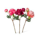 Summer Peony Bundle - L5’’ x W5’’ x H15’’ - STEMS