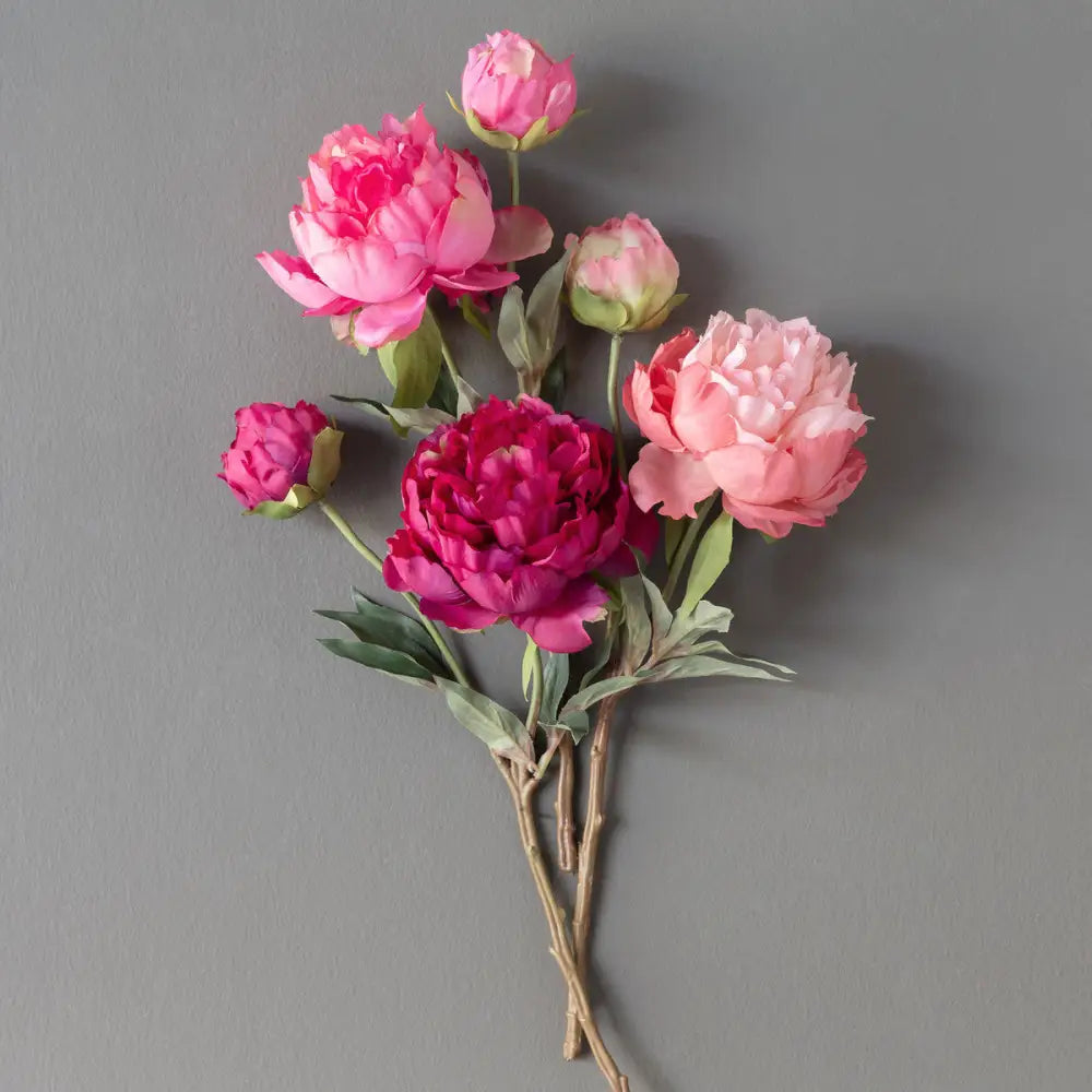 Summer Peony Bundle - L5’’ x W5’’ x H15’’ - STEMS