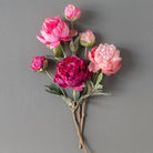 Summer Peony Bundle - L5’’ x W5’’ x H15’’ - STEMS