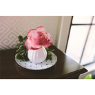 Sweet Grace Flower Diffuser - SWEET GRACE