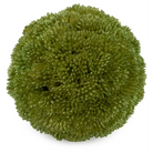 Tea Green Lg Berry Ball 4’’ Decorative Accents