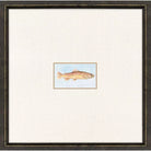Trout Photo Framed - I - Artwork