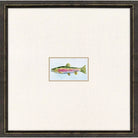 Trout Photo Framed - II - Artwork