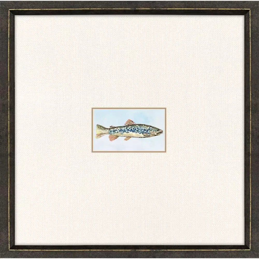 Trout Photo Framed - III - Artwork