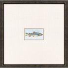 Trout Photo Framed - III - Artwork