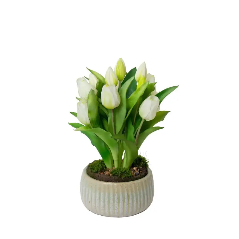 Tulip Arrangement - Accessories