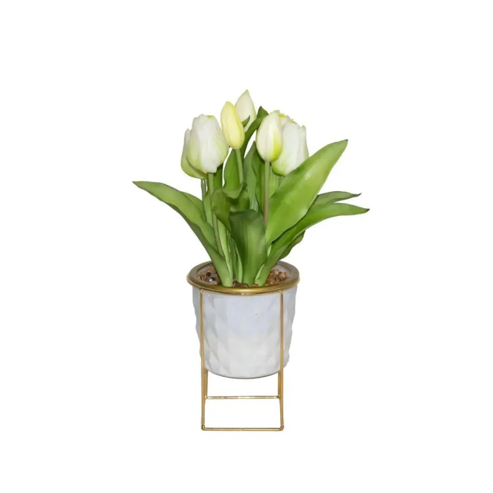 Tulip Arrangement - Accessories