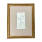 WA120 Botanical Wall Art - (Set of 3) 10.5’’ x 1.25’’ x 13.25’’ PK 2